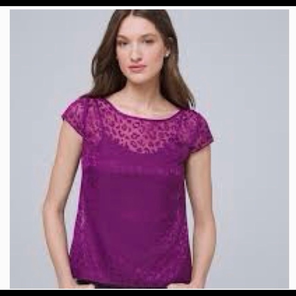 WHITE HOUSE BLACK MARKET Purple animal print blouse size medium NWT feminine